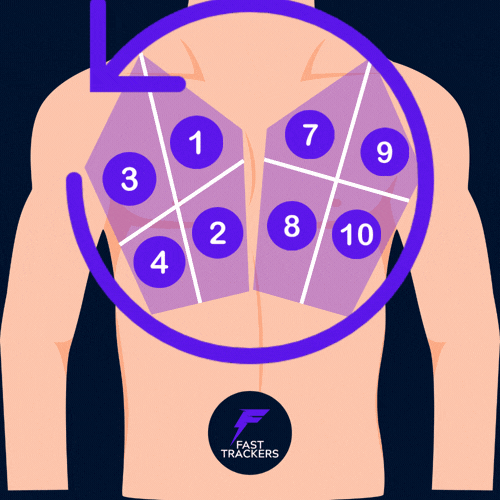 schéma échographie pulmonaire 12 zones, points antérieurs et latéraux.
