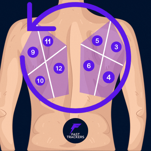 Schéma échographie pulmonaire 12 zones, points postérieurs et base du poumon.